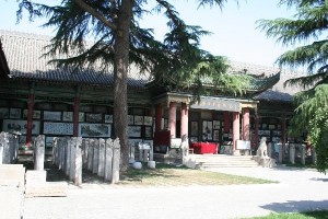 20080706 11