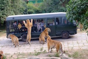 2019-Shenzhen Safari Park